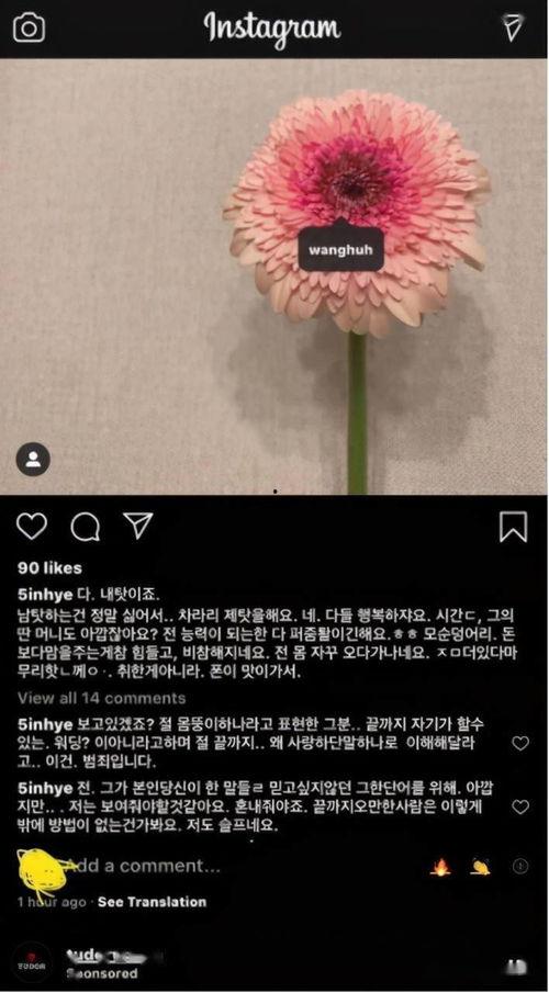 韩文娱乐爆料在线观看,在线观看，揭秘明星幕后故事